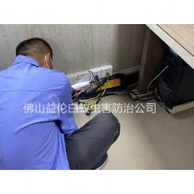 白坭镇房屋治白蚁工程