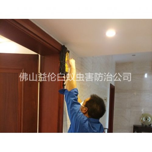 金本房屋灭治白蚁工程