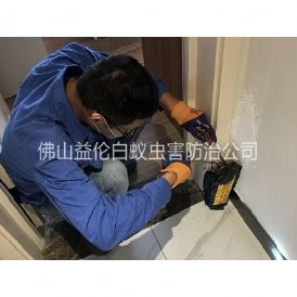 芦苞住宅白蚁防治工程