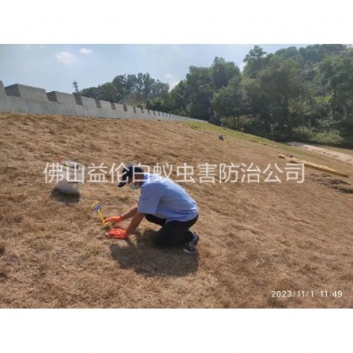 南山堤坝白蚁防治工程
