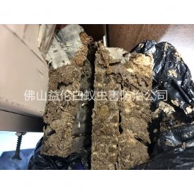 白坭镇白蚁巢灭治工程