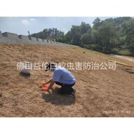 南山堤坝白蚁防治工程