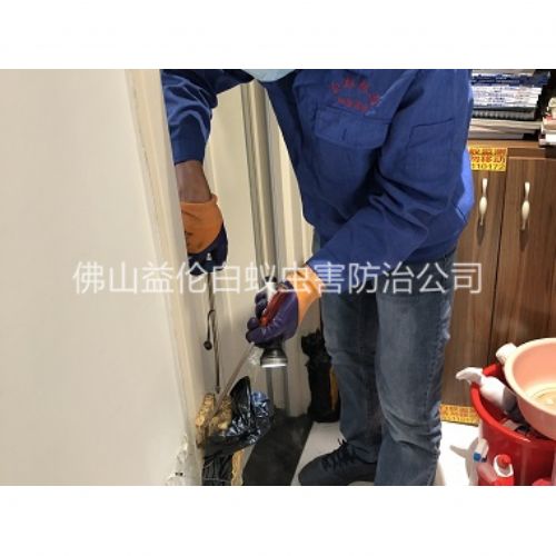 乐平上门防治白蚁工程