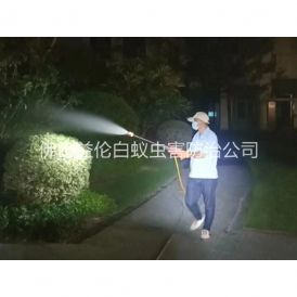 云东海绿化蚊虫防制工程